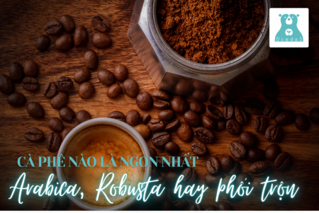 Cà phê nào là ngon nhất, Arabica, Robusta hay cà phê phối trộn?