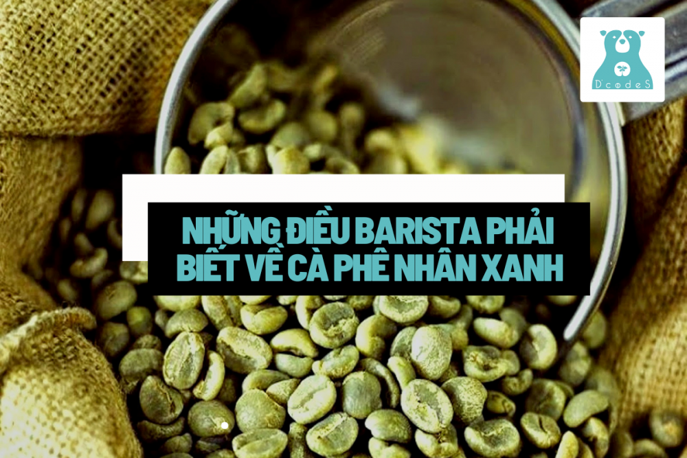 Cà phê nhân xanh là gì? Những điều Barista phải biết về cà phê nhân xanh