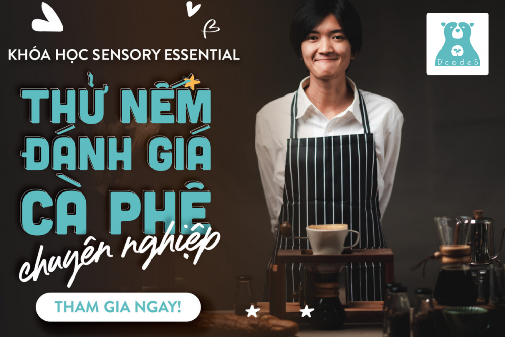 Khóa học Sensory Essential - thử nếm nâng cao tại D'codeS