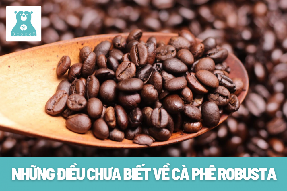 Những điều chưa biết về cà phê Robusta