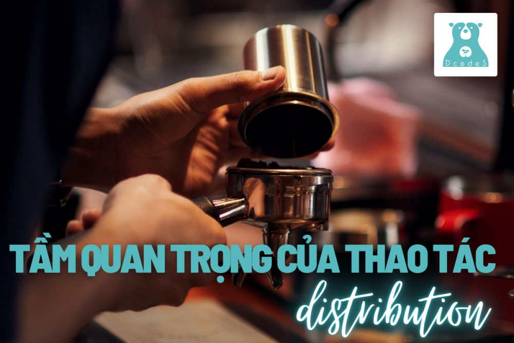 Tầm quan trọng của thao tác Distribution trước khi nén cà phê