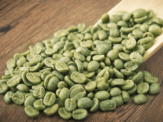 SCA Green Bean Coffee