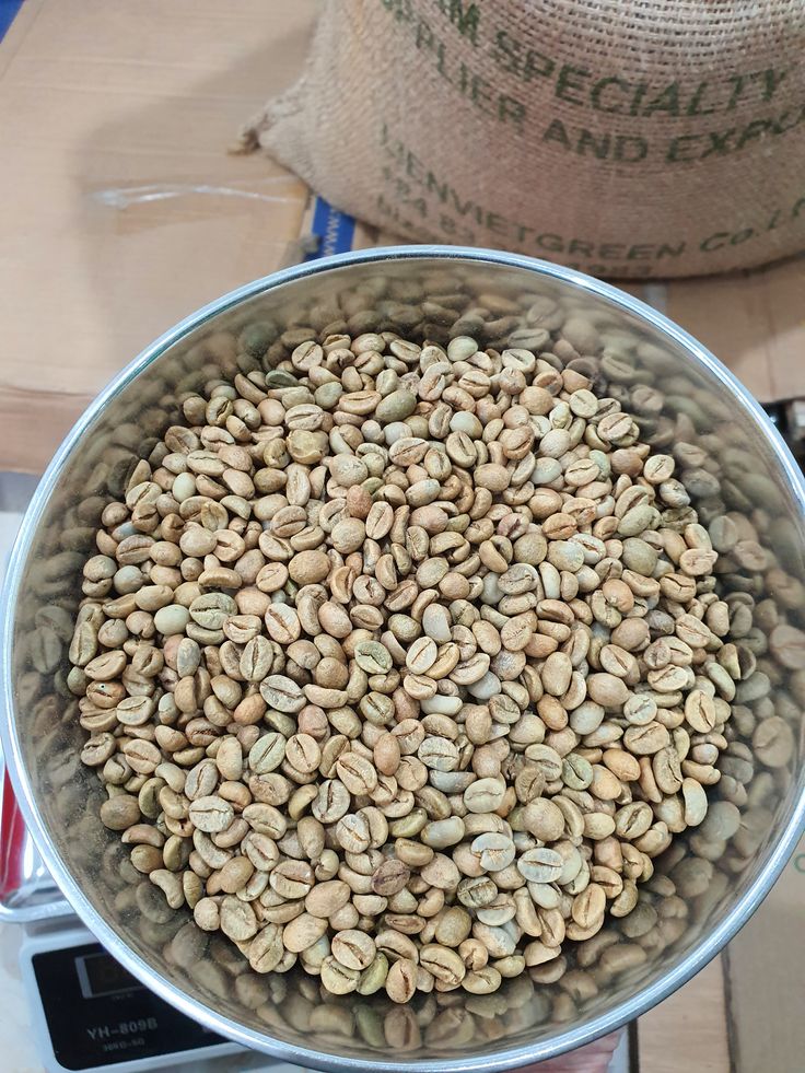 Green Bean - Khóa đào tạo về cà phê nhân xanh